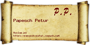 Papesch Petur névjegykártya